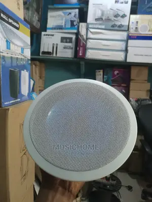 30W Foreign in-Ceiling Speaker