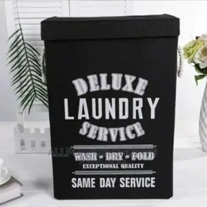 75l Laundry Box