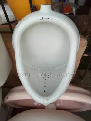 Urinal Bowl