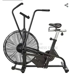 Commercial Assault Air Exercise Bike 5310
