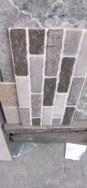 China 25*50 Wall Tiles