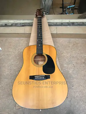 Segovia Acoustic Guitar