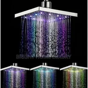 Led Shower Head With Light