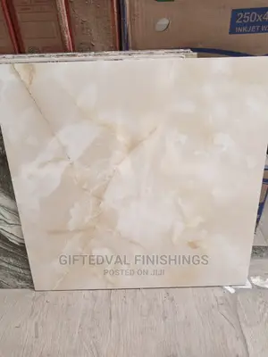 Quality 60/60 Floor Tiles