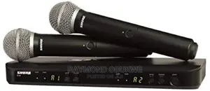 Shure Wireless Microphones BLX288/PG58