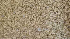 Sandstone Wallpaper 16.5squaremeter Over 200designs