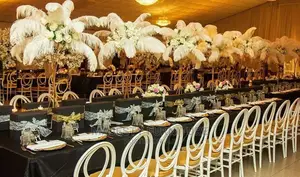 Event Plastic Chair