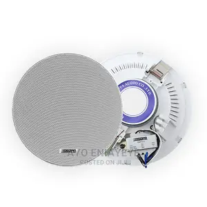 Original Ceiling Speaker Hig Quality