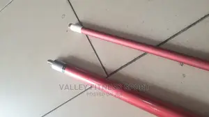 Mastery Snooker Stick
