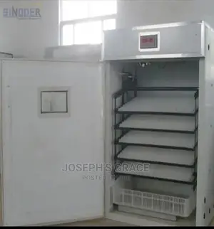 1056 Eggs Hatchery Chicken Incubator (Ac/Dc)