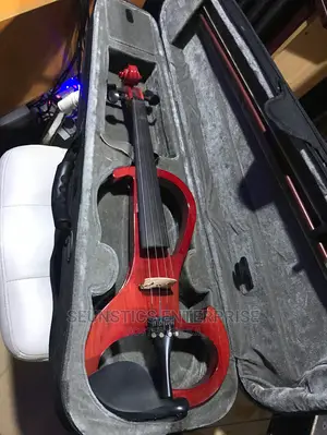 Professional Electric Violin