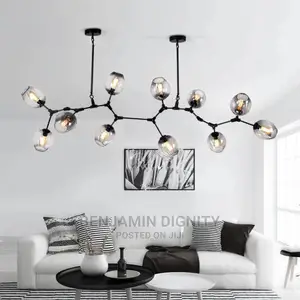 Dropped Chandelier Light 
