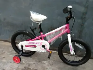 Freestyle Children Bicycle