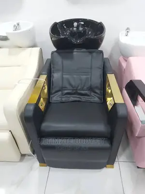 Brand New Wash Basin With Electric Back Massager