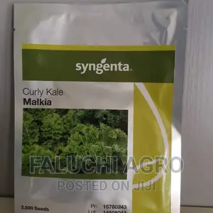Curly Kale Seeds (2500 Seeds)