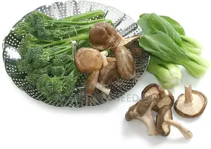 Stainless Steel Vegetable Steame