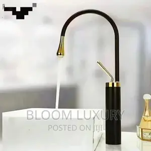 Black and Gold Countertop Faucet