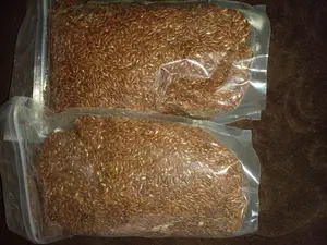 Flax Seeds- 300g