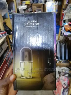 Rechargeable Mosquito Killer Lamp and Night Light