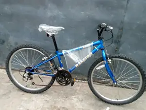 Raleigh Teenager Sport Bicycle