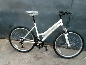 Roadmaster Ladies Sport Bicycle