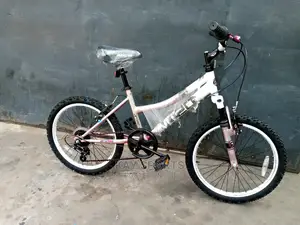 20 Inches Children Bicycle