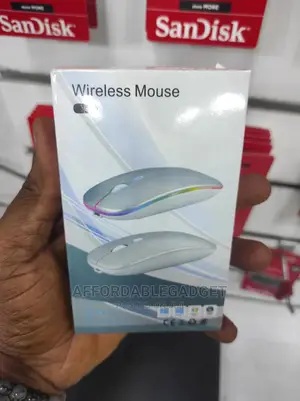 Rechargeable Wireless Mouse