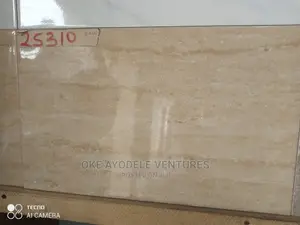 Goodwill Wall Tiles 25310(25/40)