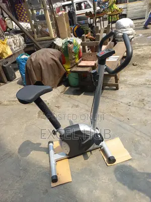 Magnetic Bike