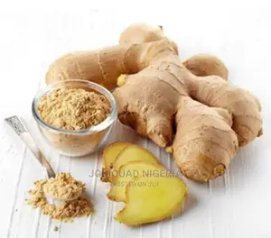 Organic Raw Ginger Powder 250g