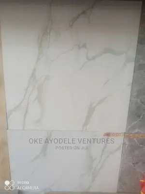 Goodwill Super Polished Tiles 60/60
