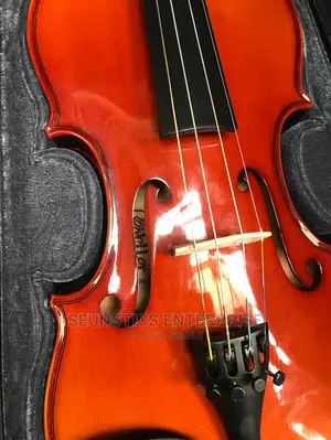 Roweller Professional 4/4 Violin