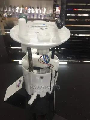 Ford Edge Fuel Pump (Complete)