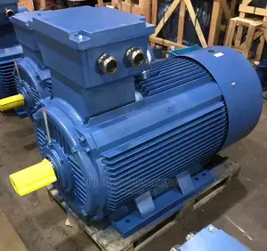 Electric Motor