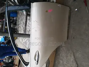 Neat Door for Es350 08