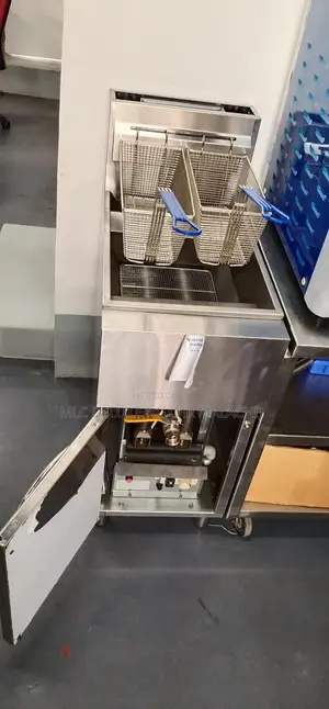 2 Baskets 25l Industrial Deep Fryers /Auto Ignite Gas Fryer