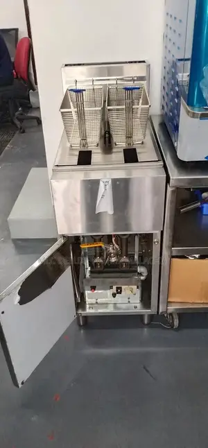 25 Liters Industrial Standing Deep Fryers / 2 Baskets Fryers