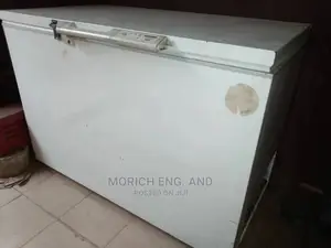 Deep Freezer Compressor Replacement
