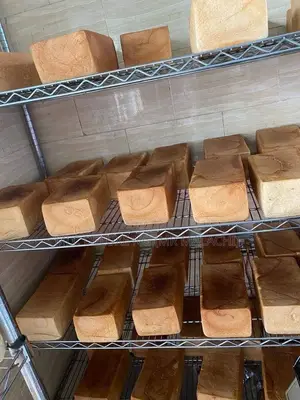 Stainless Steel Shelves/Wire Shelf (Cooling Hot Bread) 4,5ft