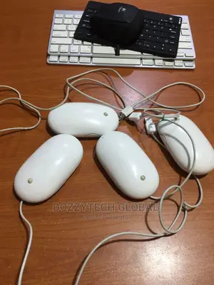 Apple Mouse
