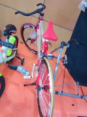 Professional Cycling Bike