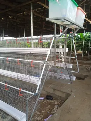 Quality Poultry Cages