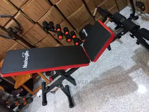 Giant Adjustable Sit Up Bench
