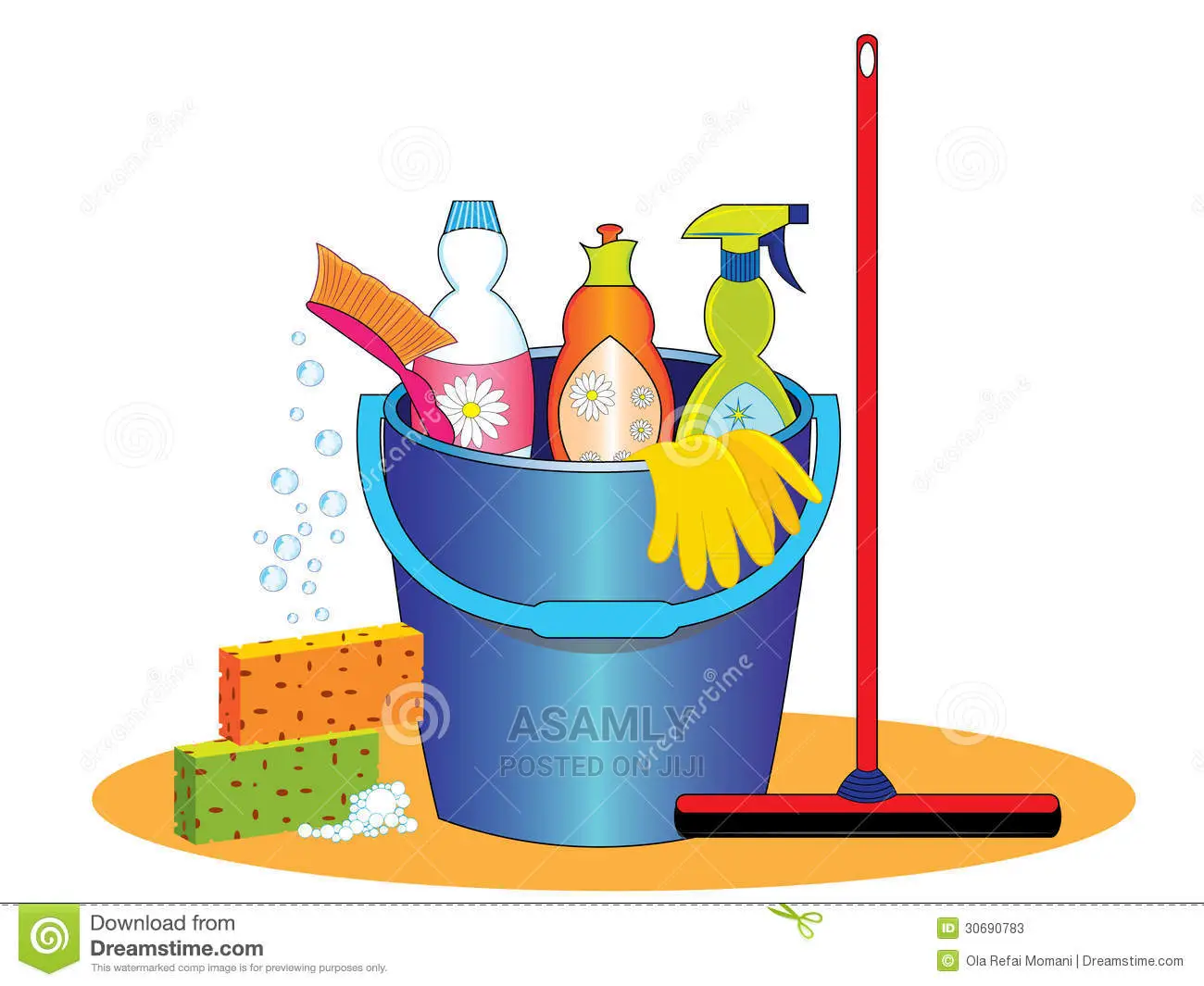 Professional Cleaning Services