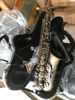 Hallmark Professional Alto Saxophone