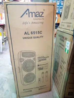 Amaz 2 in 1 Public Address System