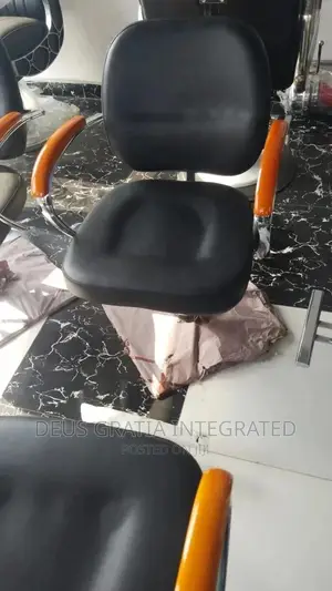 Executive Saloon/ Barbing Sterling Chair
