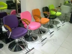 Colorful Saloon Chair