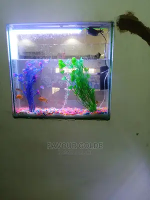 Wall Aquarium Design