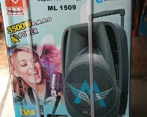 MLG Public Address System 15"